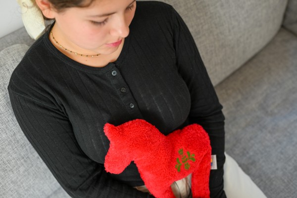 Värmedjur för barn, Dalahäst av ekologiskt teddytyg, med körsbärkärnorfyllning